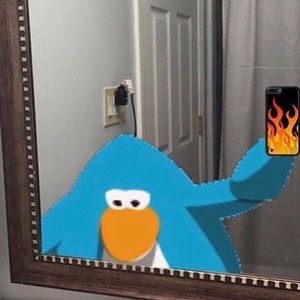 Meet your Posher, Lauryn